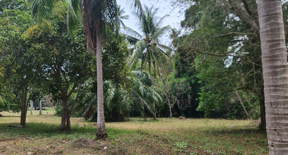 For sale land in Ko Samui, Surat Thani