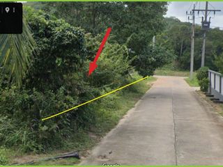 ขาย ที่ดิน ใน เกาะสมุย, สุราษฎร์ธานี