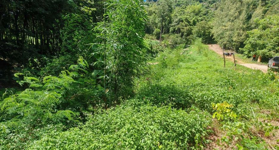 Grundstück zum Kauf in Ko Samui, Surat Thani