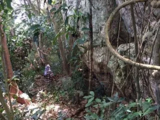 For sale land in Ko Samui, Surat Thani