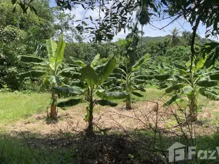 Продажа Участок в Ko Lanta, Краби