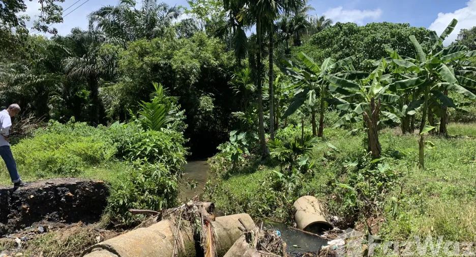 出售 土地 在 Ko Lanta, Krabi