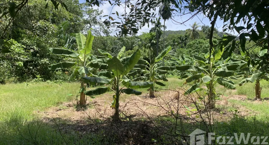 出售 土地 在 Ko Lanta, Krabi