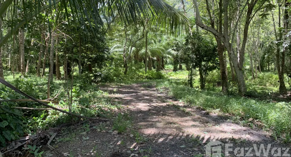 出售 土地 在 Ko Lanta, Krabi