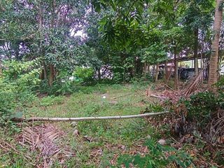 For sale land in Ko Samui, Surat Thani