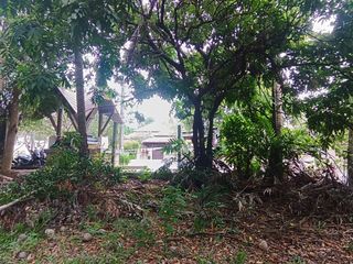 For sale land in Ko Samui, Surat Thani
