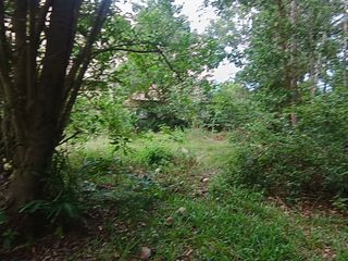 For sale land in Ko Samui, Surat Thani