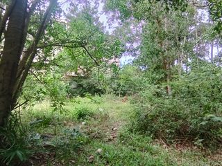 For sale land in Ko Samui, Surat Thani
