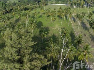 For sale land in Ko Samui, Surat Thani