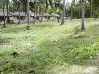 Terreno en venta en Ko Samui, Surat Thani