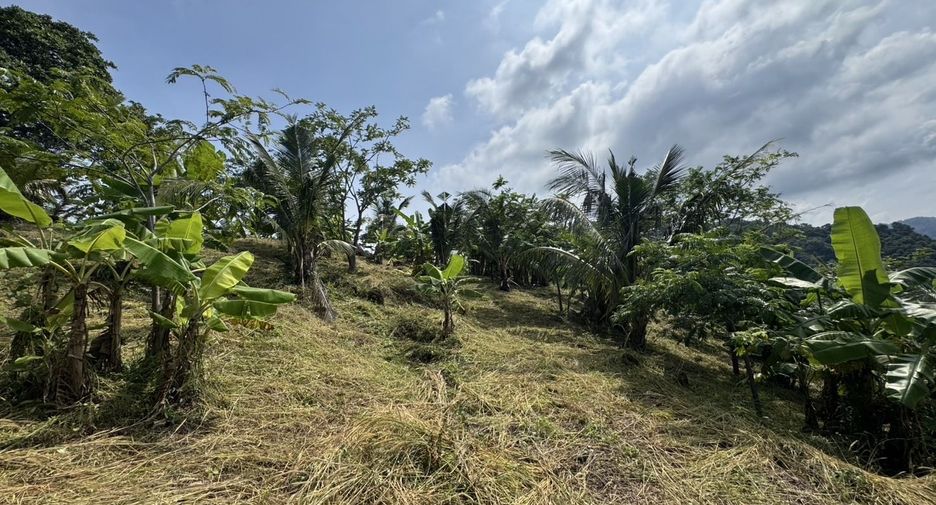 For sale land in Ko Samui, Surat Thani