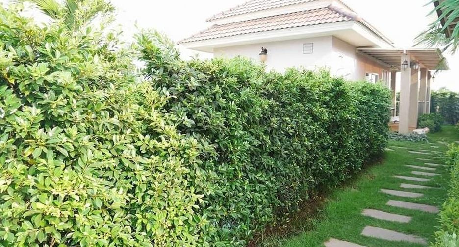 ขาย 3 ห้องนอน โรงแรม ใน ปราณบุรี, ประจวบคีรีขันธ์