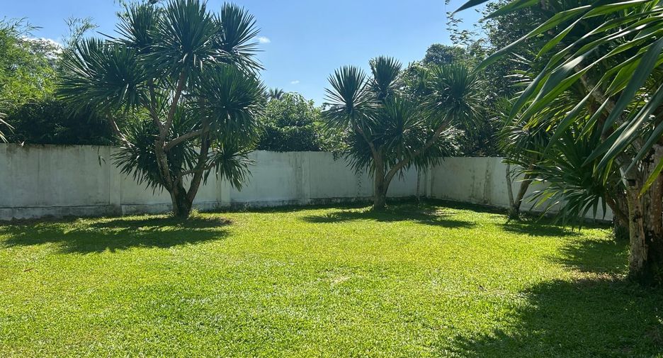 For rent 3 bedrooms villa in Thalang, Phuket