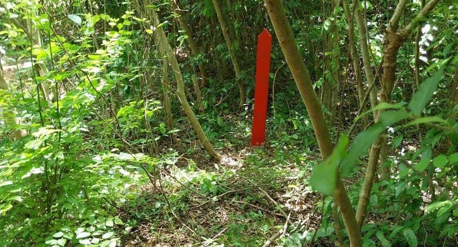 For sale land in Don Sak, Surat Thani