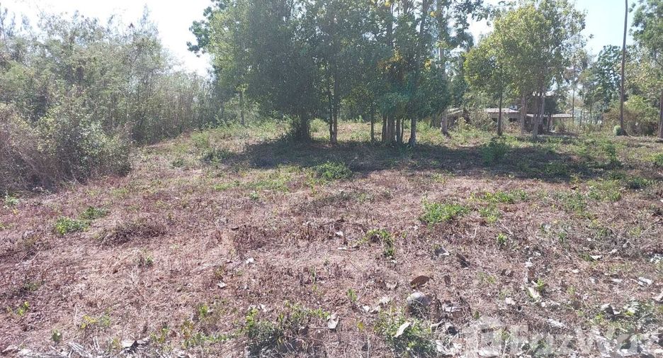 For sale land in Don Sak, Surat Thani