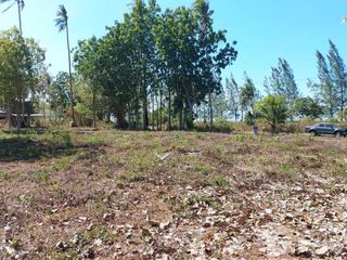 For sale land in Don Sak, Surat Thani