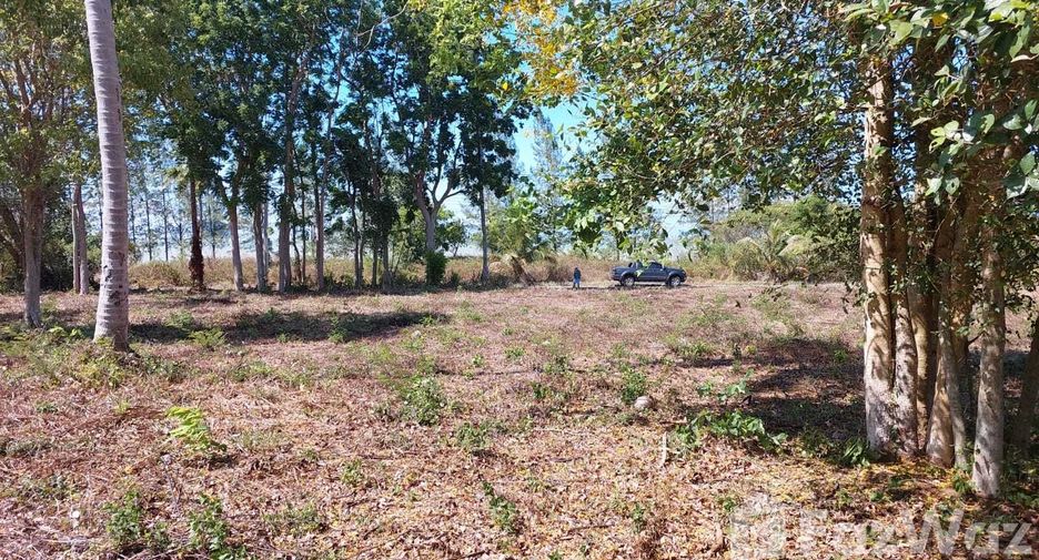 For sale land in Don Sak, Surat Thani