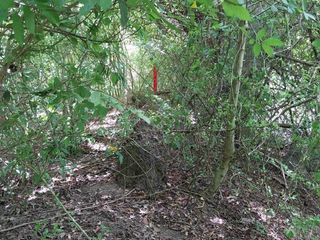 For sale land in Don Sak, Surat Thani