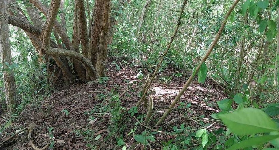 For sale land in Don Sak, Surat Thani