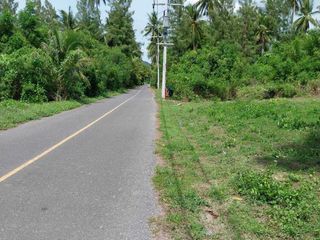 For sale land in Don Sak, Surat Thani