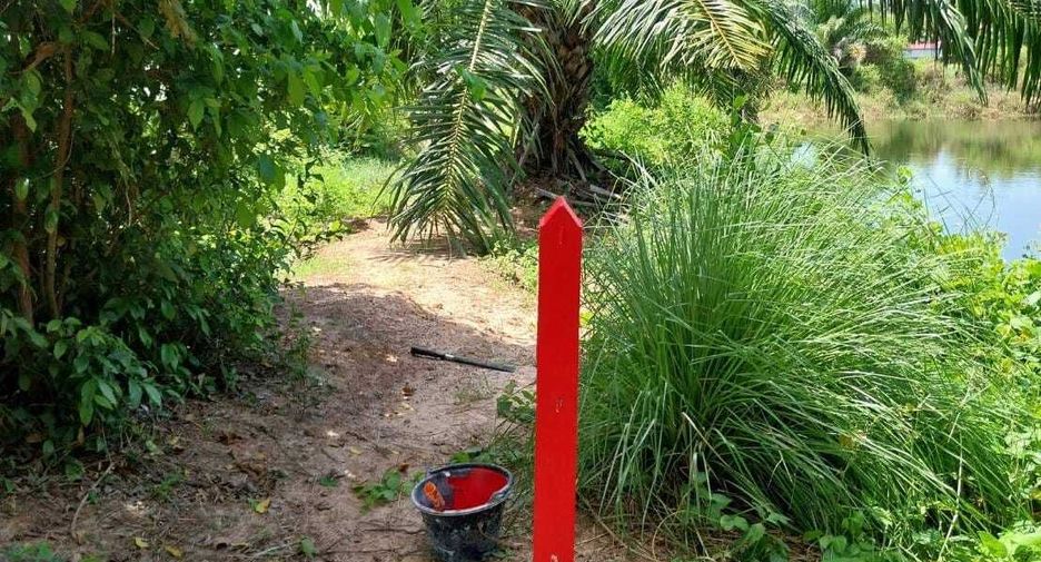 For sale land in Don Sak, Surat Thani
