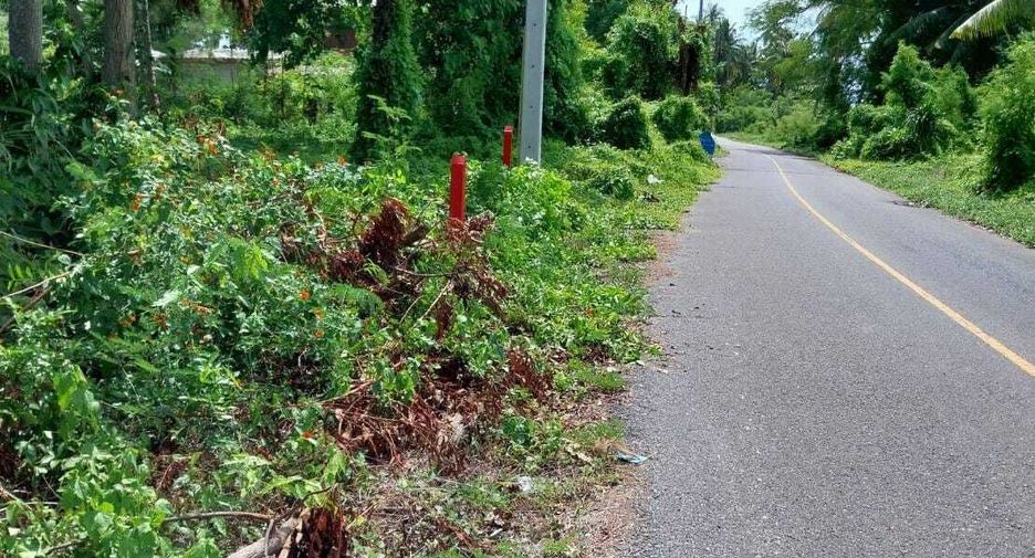 For sale land in Don Sak, Surat Thani