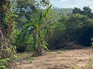 For sale land in Sattahip, Pattaya