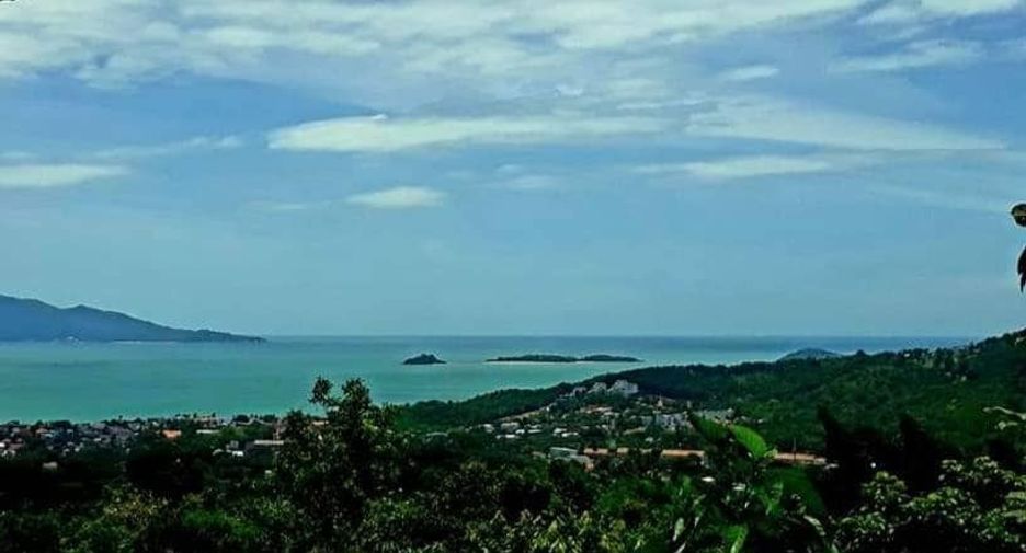 À vendre terrain à Ko Samui, Surat Thani