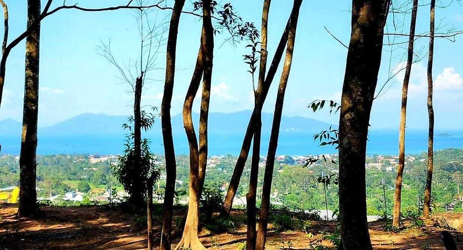 À vendre terrain à Ko Samui, Surat Thani