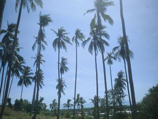 Terreno en venta en Ko Samui, Surat Thani