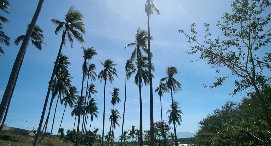 Terreno en venta en Ko Samui, Surat Thani