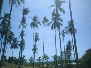 Terreno en venta en Ko Samui, Surat Thani