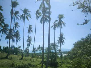 Terreno en venta en Ko Samui, Surat Thani