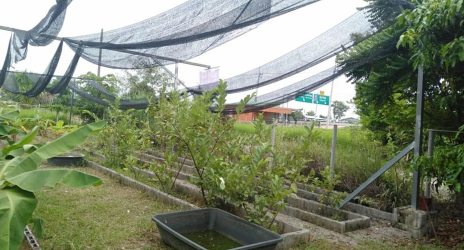For sale land in Mae Wang, Chiang Mai
