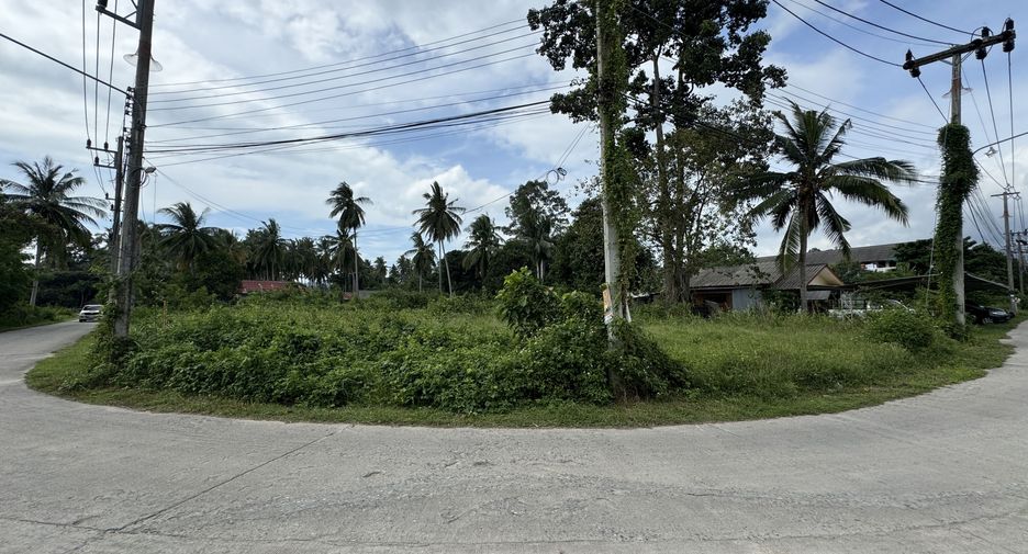 À vendre terrain à Ko Samui, Surat Thani