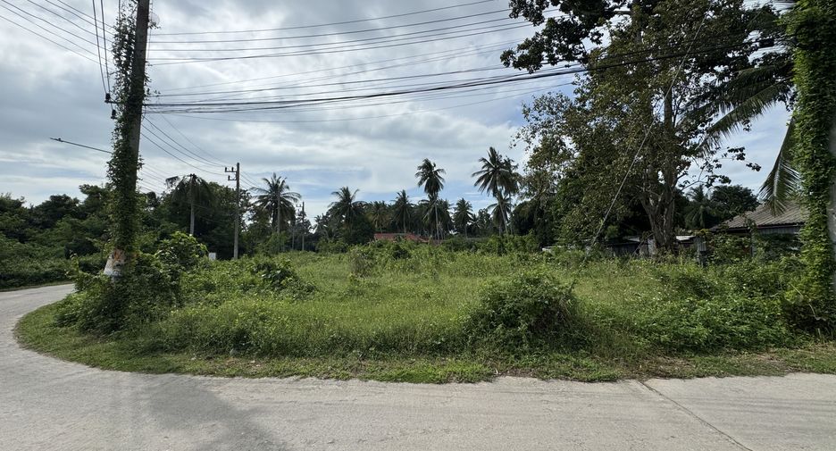 À vendre terrain à Ko Samui, Surat Thani