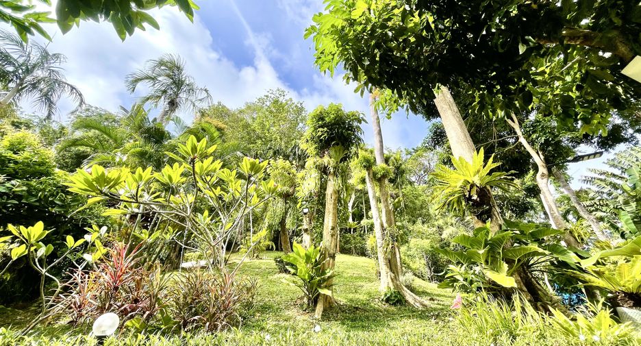 For rent 2 bedrooms house in Kathu, Phuket