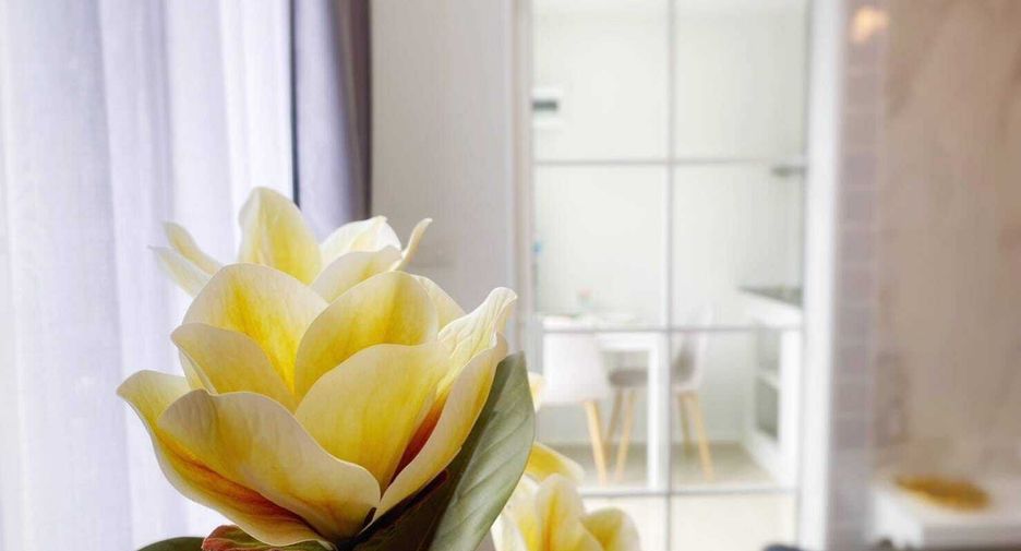 For rent 1 bed condo in Mueang Chiang Mai, Chiang Mai