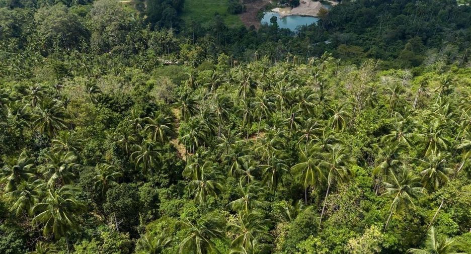 For sale land in Ko Samui, Surat Thani