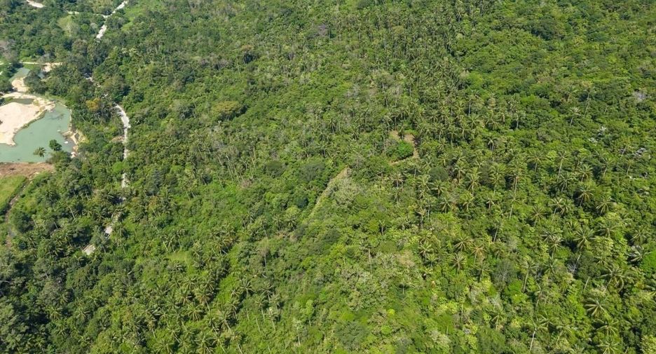 For sale land in Ko Samui, Surat Thani