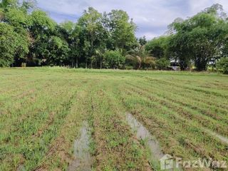 For sale land in Doi Saket, Chiang Mai