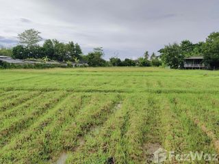 For sale land in Doi Saket, Chiang Mai