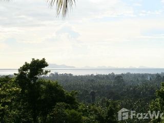 ขาย ที่ดิน ใน เกาะสมุย, สุราษฎร์ธานี