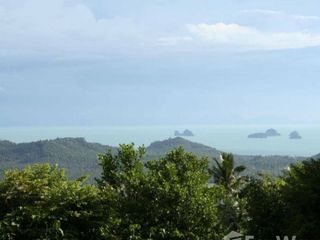 ขาย ที่ดิน ใน เกาะสมุย, สุราษฎร์ธานี