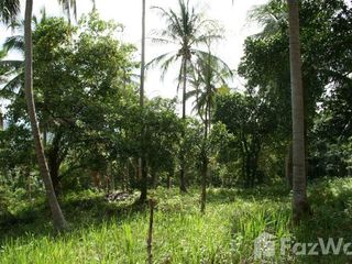 ขาย ที่ดิน ใน เกาะสมุย, สุราษฎร์ธานี