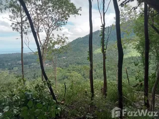 ขาย ที่ดิน ใน เกาะสมุย, สุราษฎร์ธานี