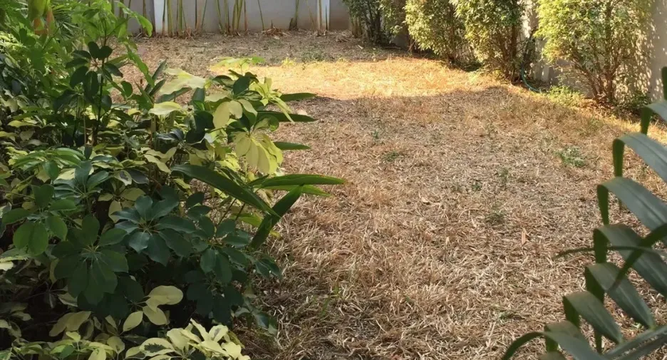 For rent 3 bedrooms house in Doi Saket, Chiang Mai