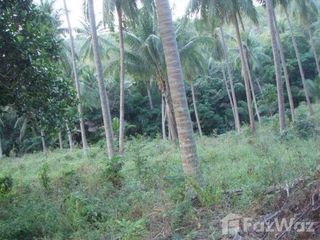 For sale land in Ko Samui, Surat Thani