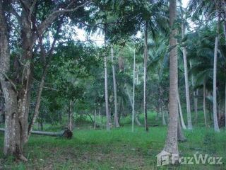 For sale land in Ko Samui, Surat Thani
