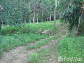 For sale land in Ko Samui, Surat Thani